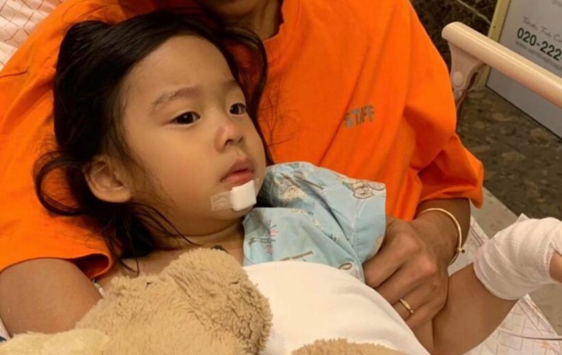 กุ๊บกิ๊บ ช็อค เป่าเปา เย็บปาก 15 เข็ม บีบหัวใจแม่ | The Thaiger