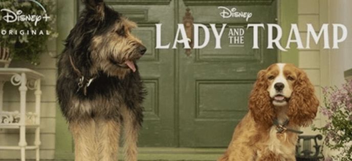 ดิสนีย์เผยภาพแรก Lady and the Tramp ฉบับ live action | The Thaiger