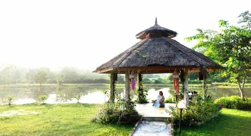 Museflower Life Festival - Holistic wellness weekend in Chiang Rai ...