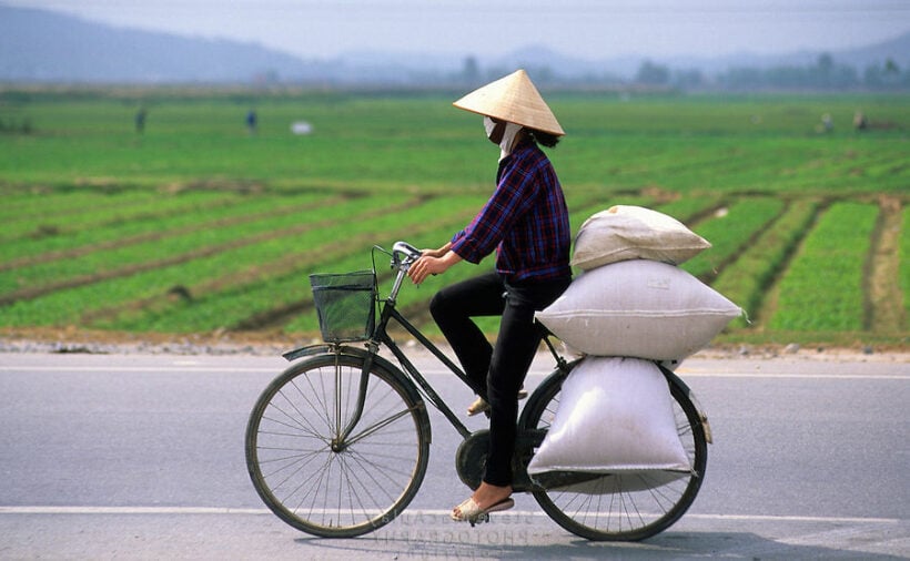 The road to Vietnam