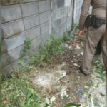 3 Bangkok students arrested in connection with yesterday&#8217;s bomb blasts | Thaiger