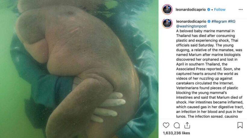 Leonardo’s Instagram post draws attention to Thailand’s dugongs