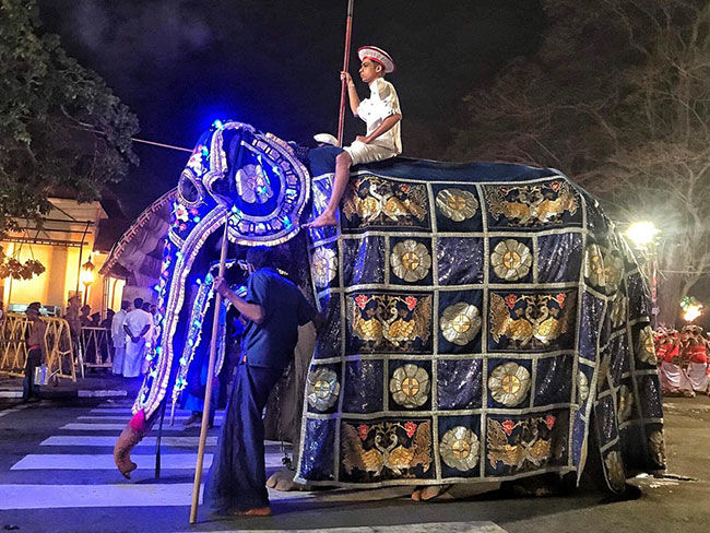 เผยภาพสุดเวทนา ช้างชราถูกใช้ร่วมขบวนแห่ ผอมหนักหุ้มกระดูก | News by The Thaiger