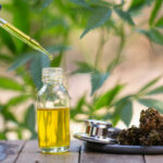 500 cannabis clinics successful, Health Ministry plans to expand | Thaiger