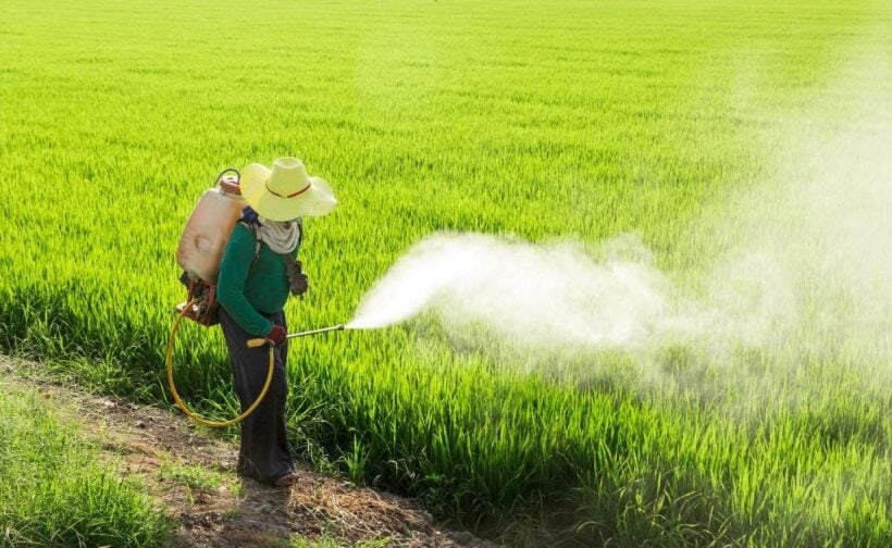 Thai farmers reluctant to scale down use of ‘toxic’ herbicides