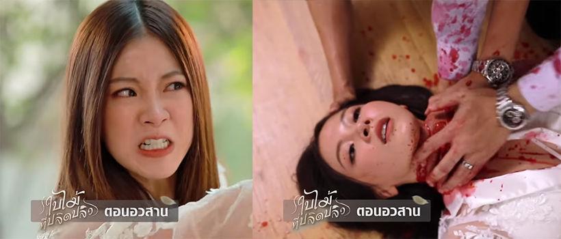 ใบไม้ที่ปลิดปลิวตอนจบ สะเทือนใจชะตากรรมนิรา จุดจบไม่เหมือนนิยาย | The Thaiger