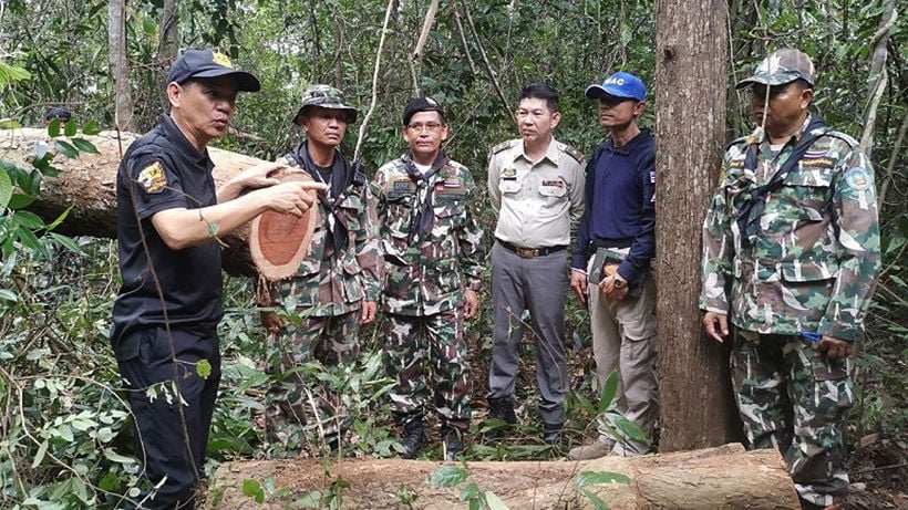 Illegal forest poachers resorting to landmines to scare off rangers in Thailand’s east