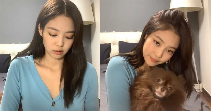 ละลายมาก เจนนี่ BLACKPINK ปล่อยดาเมจ บลิ๊งค์ตายกลางไลฟ์สด | The Thaiger