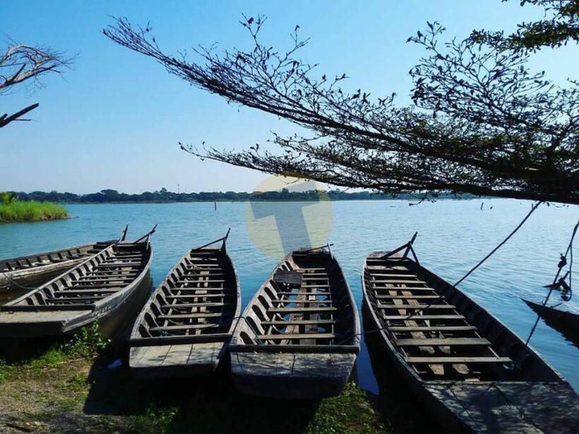 เริ่มแล้ว ลงทะเบียนชิมช้อปใช้วันที่ 4 | The Thaiger
