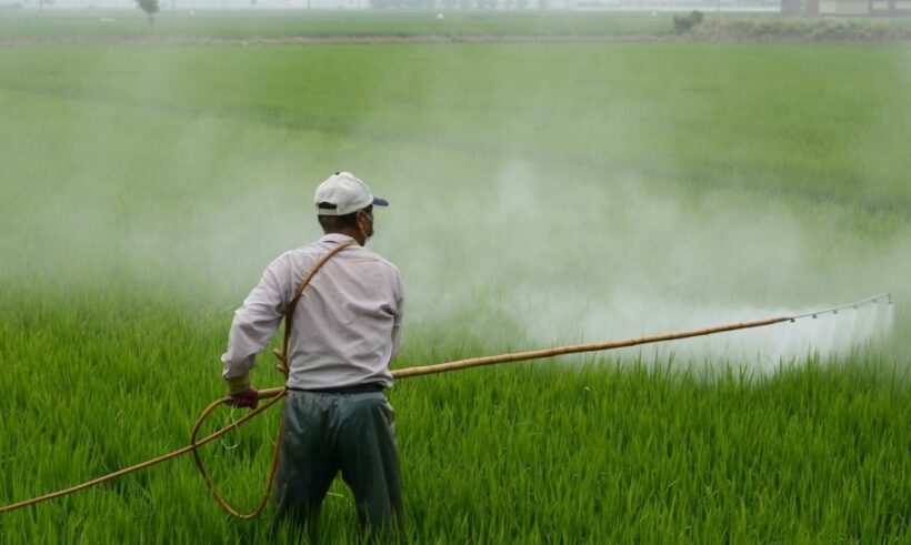 Ban of 3 herbicides agreed, with conditions