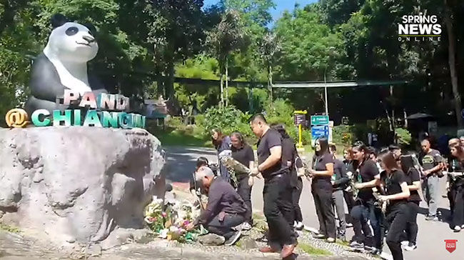 เศร้า! หลินฮุ่ยยืนเกาะกรงมองหา ช่วงช่วง ไม่รู้ว่าอีกฝ่ายจากไปแล้ว | News by The Thaiger