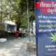 Proposal: New law that will allow six cannabis plants per Thai household | The Thaiger