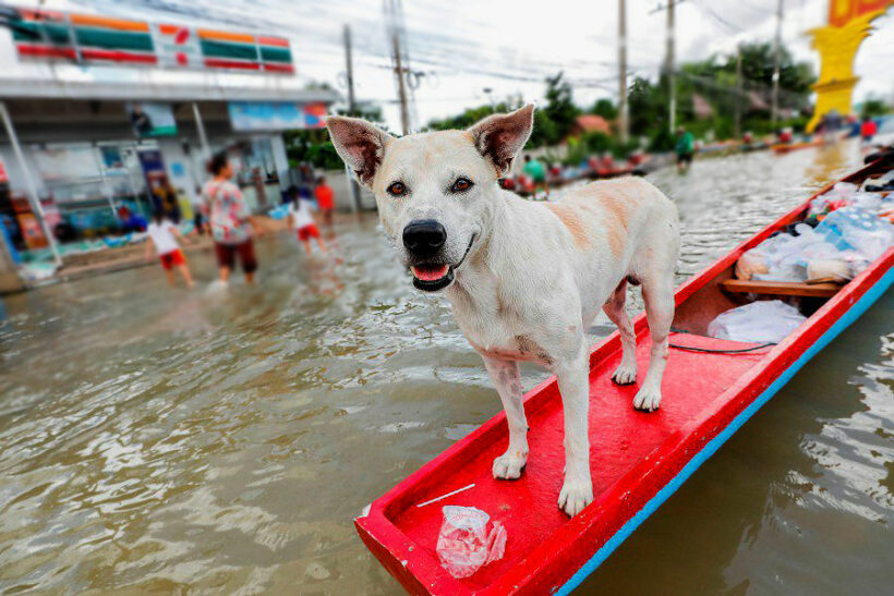 Thai PM insists government flood victims aren’t being ignored