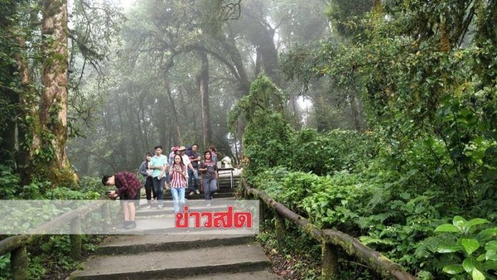 เย็นแล้ว! ดอยอินทนนท์เช้านี้อุณหภูมิลดเหลือ 5 องศา คนแห่ชมทะเลหมอก | News by The Thaiger