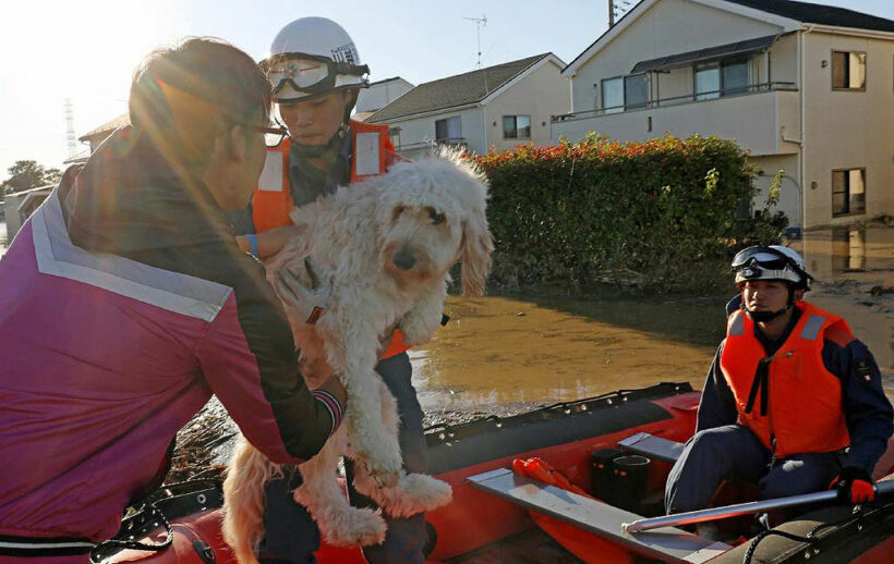 Thousands of Japanese rescuers looking for survivors of Typhoon Hagibis