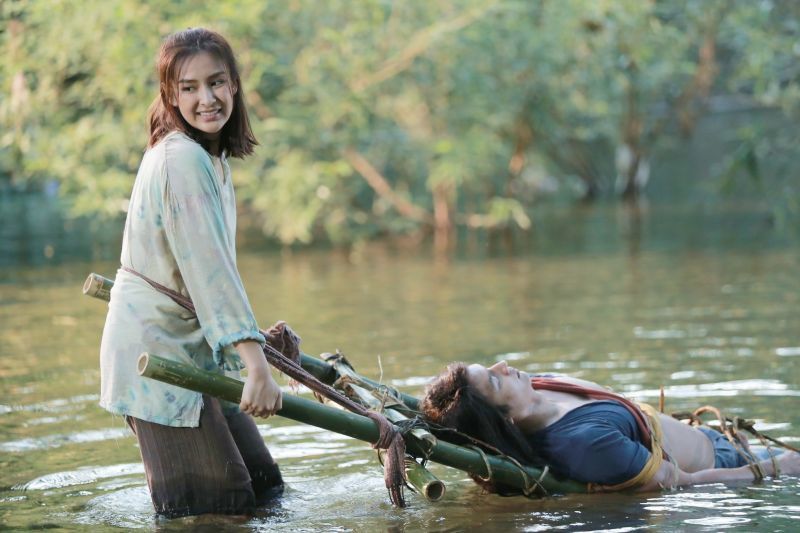 ชิปปี้ช่วยเพื่อนกลางป่าใน ทิวาซ่อนดาว | The Thaiger