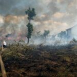 Indonesia&#8217;s burning issue &#8211; controlling the palm oil giants | Thaiger