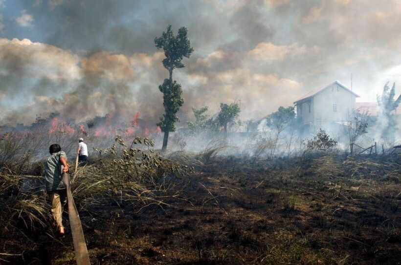 Indonesia’s burning issue – controlling the palm oil giants