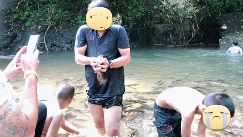 มือบอน! นักท่องเที่ยวจับปลาในน้ำตกพลิ้วขึ้นจากน้ำมาถ่ายรูป | The Thaiger