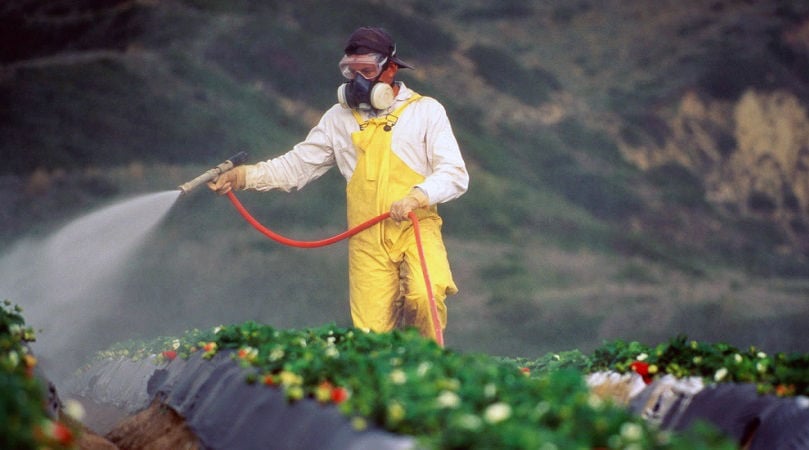 New controls on three toxic agri-chemicals take effect on October 20