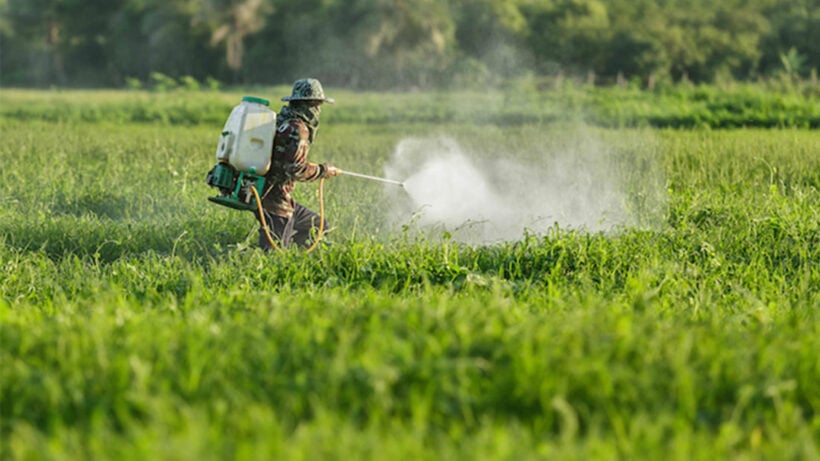 US pushing for delay to Thai ban on glyphosate in order to protect imports
