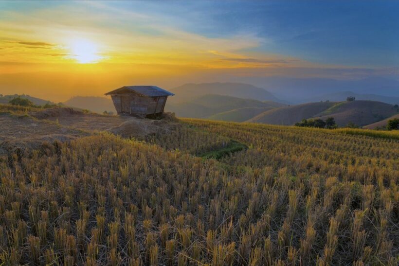ประเทศไทยเข้าสู่ฤดูหนาว 17 ตุลาคมนี้ ถึง กุมภาปี 63 หนาวนานกว่าเดิม | The Thaiger