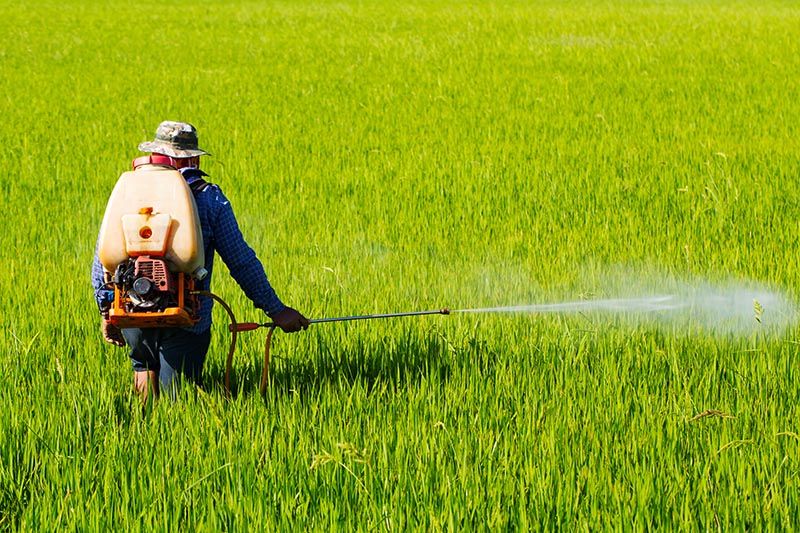 Three toxic farm chemicals to be banned from December 1