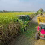 Health Minister insists chemical ban must stay, as farmers plead for compromise | Thaiger