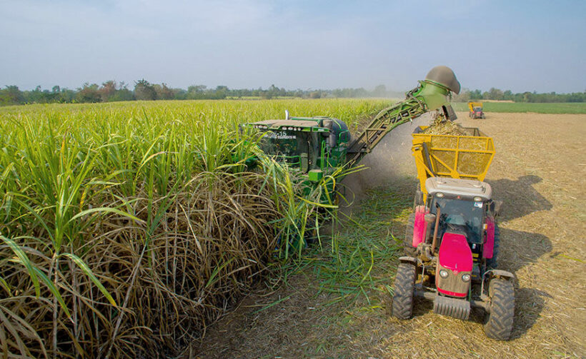 Health Minister insists chemical ban must stay, as farmers plead for compromise