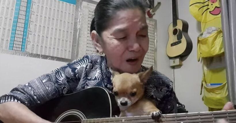 A Thai grandmother, a stroke, four dogs and a cat = musical magic