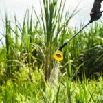 Health minister: No delays on agri-chemical bans | Thaiger