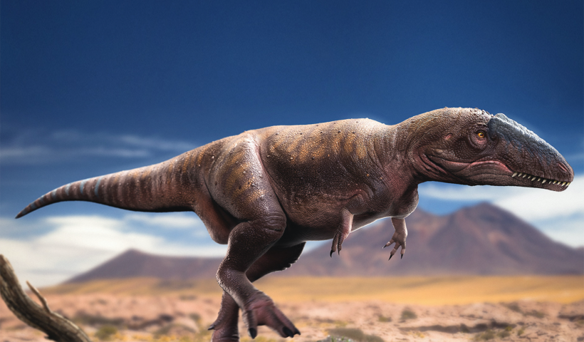 Fossils of new dinosaur species discovered in Isaan