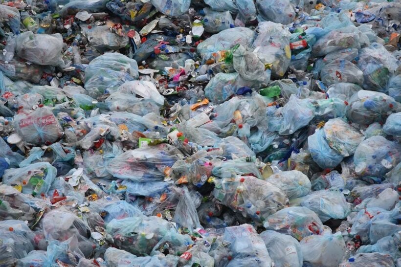 Government confirms 2020 ban on single-use plastic bags