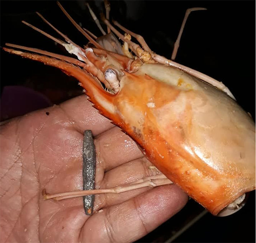 แม่ค้าตัวแสบ ยัดตะกั่วในหัวกุ้ง หนุ่มซื้อจากตลาดริมเมย มาเจอตอนแกะกิน | The Thaiger