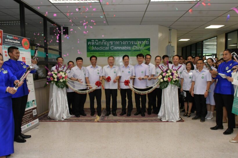 เปิดแล้ว ‘คลินิกกัญชาทางการแพทย์’ รพ.พระนั่งเกล้า เวลาให้บริการ | The Thaiger
