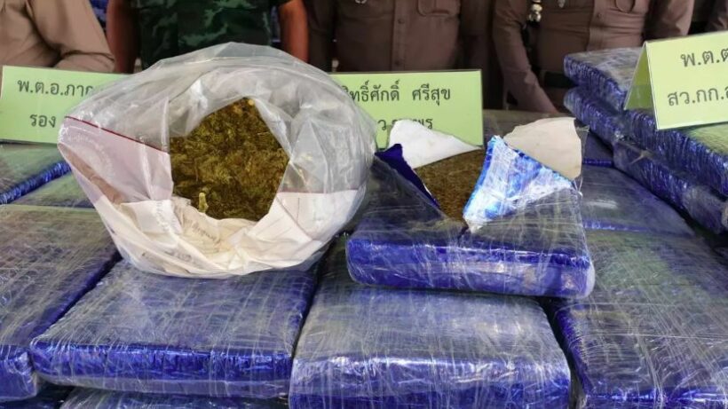 ตำรวจชุมพรจับกัญชา 500 กก. มูลค่าประมาณ 15 ล้านบาท | The Thaiger