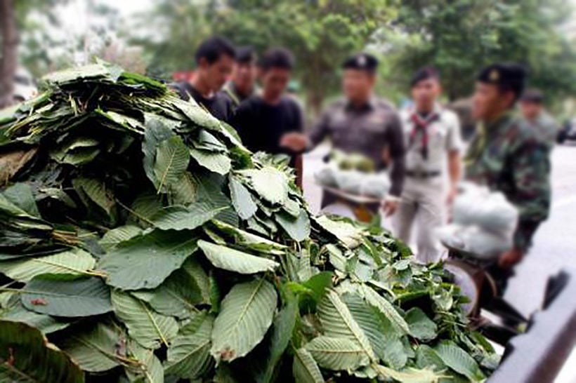 Justice minister says he’ll speed up kratom decriminalisation