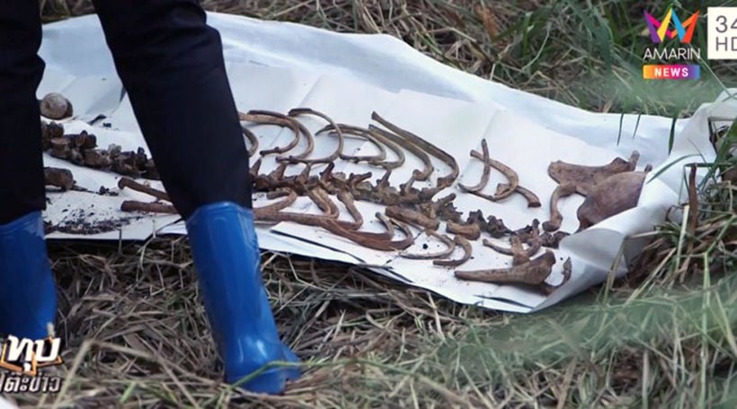 Skull and other human remains found near Bangkok construction site