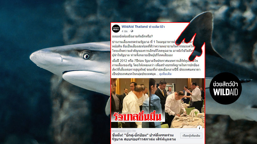 ปาร์ตี้พรรคร่วมรัฐบาลเสิร์ฟหูฉลาม องค์กรช่วยสัตว์ป่าเรียกร้อง #ฉลองไม่ฉลาม | The Thaiger