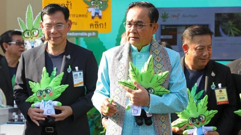 “Dr. Ganja” is helping promote medical marijuana in Thailand