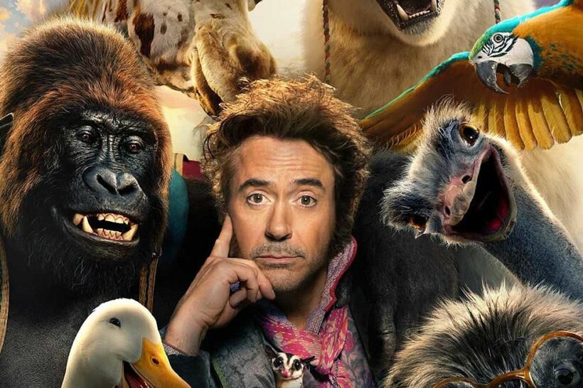 ส่องรีวิว Dolittle การผจญภัยของคุณหมอ และผองเพื่อน | The Thaiger