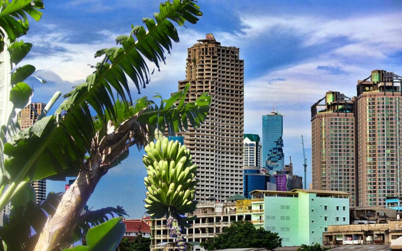 Bangkok’s vacant land owners growing fruit and vegetables to evade vacant-land tax