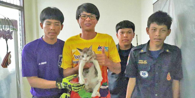 Missing moggie rescued in Rayong | News by Thaiger