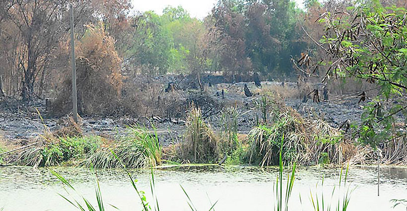 Pathum Thani villagers coping with heavy smoke from rubbish fires | News by Thaiger