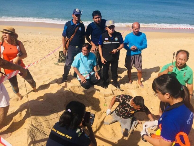 Rare leatherback turtle lays eggs in Phuket’s Mai Khao