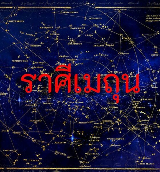 ราศีเมถุน 12 ก.พ. 63 | The Thaiger