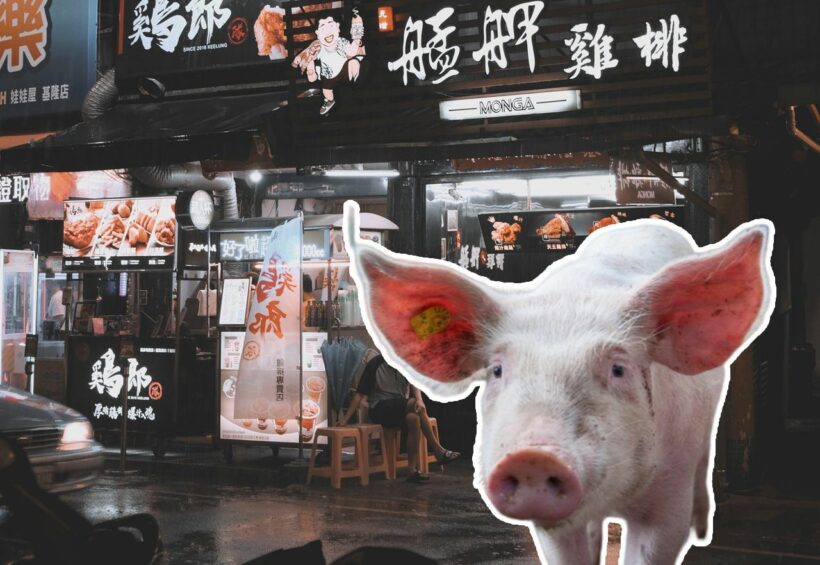 ไข้หวัดหมูระบาดไต้หวัน คร่าชีวิตคน ทางการชี้แจงไข้หวัดหมู ไม่เกี่ยวกับหมู | The Thaiger