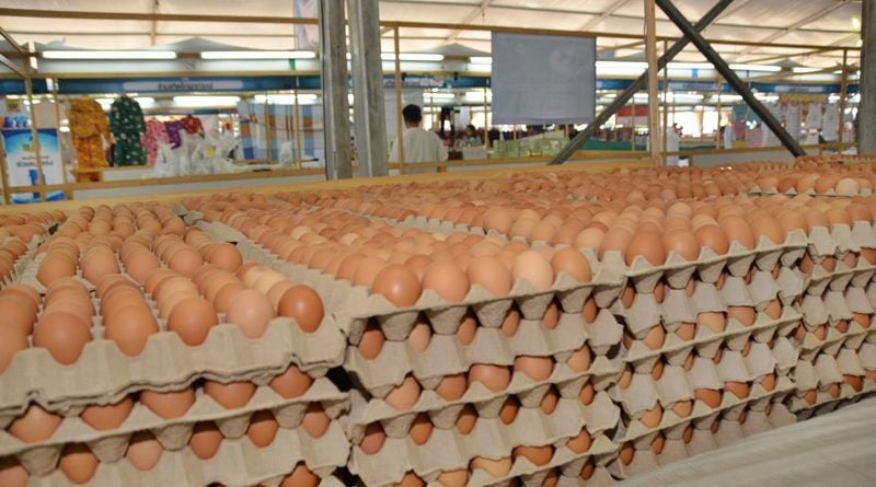 Chicken eggs will not run out in Thailand