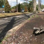 Two bombs explode in front of the Yala provincial offices today | Thaiger