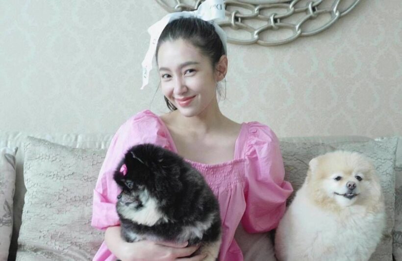 หมอก้อง ซึ้งใจ เบลล่า มีน้ำใจเสมอในภาวะยากลำบาก | The Thaiger